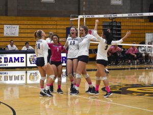 Volleyball plays Dig Pink