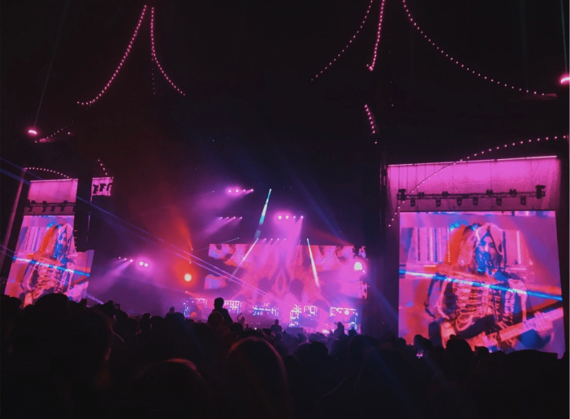 Junior Emily Fletcher shares pictures from her experiences at various music festivals.