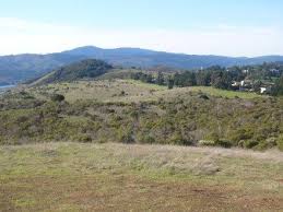 The Crystal Springs Cross Country course is a scenic stretch of land in Belmont, California. 