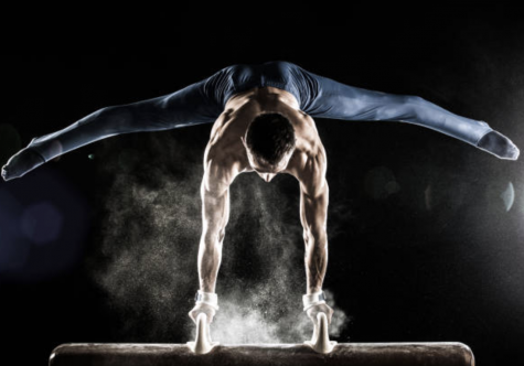 Male gymnast performing a handstand on a pommel horse.