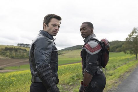 Cast of The Falcon and Winter Soldier.