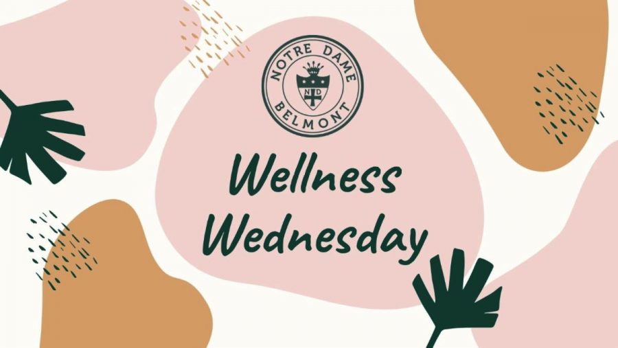Wellness Wednesday offers students a chance to focus on their mental well-being.
