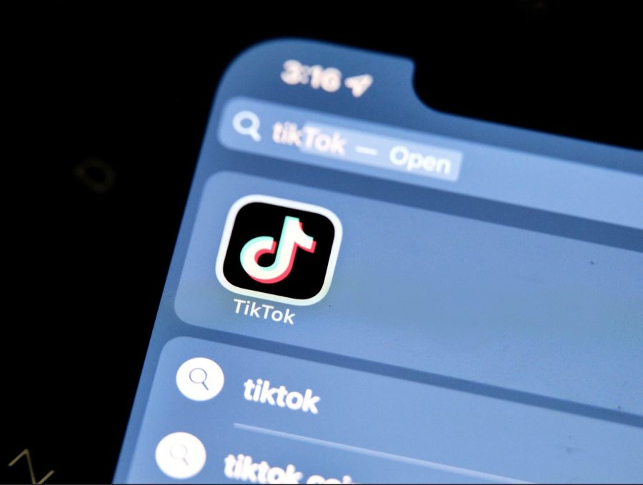In recent years, TikTok has had a significant impact on trends everywhere.