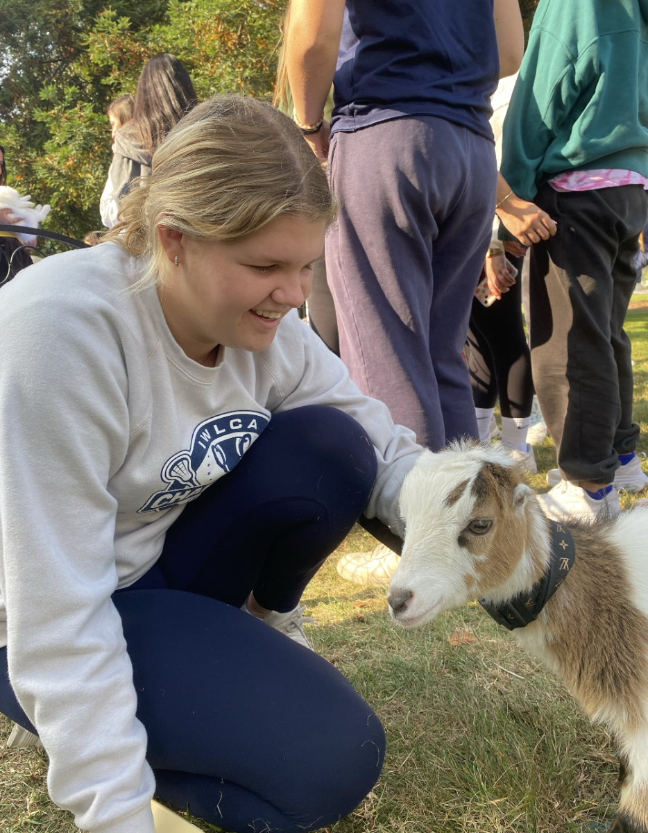 Senior Olivia Caron pets a goat at the petting zoo.