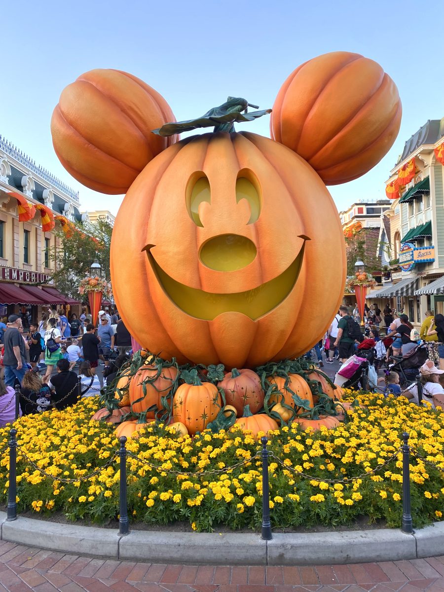 This mickey statue gets transformed into a pumpkin every fall.