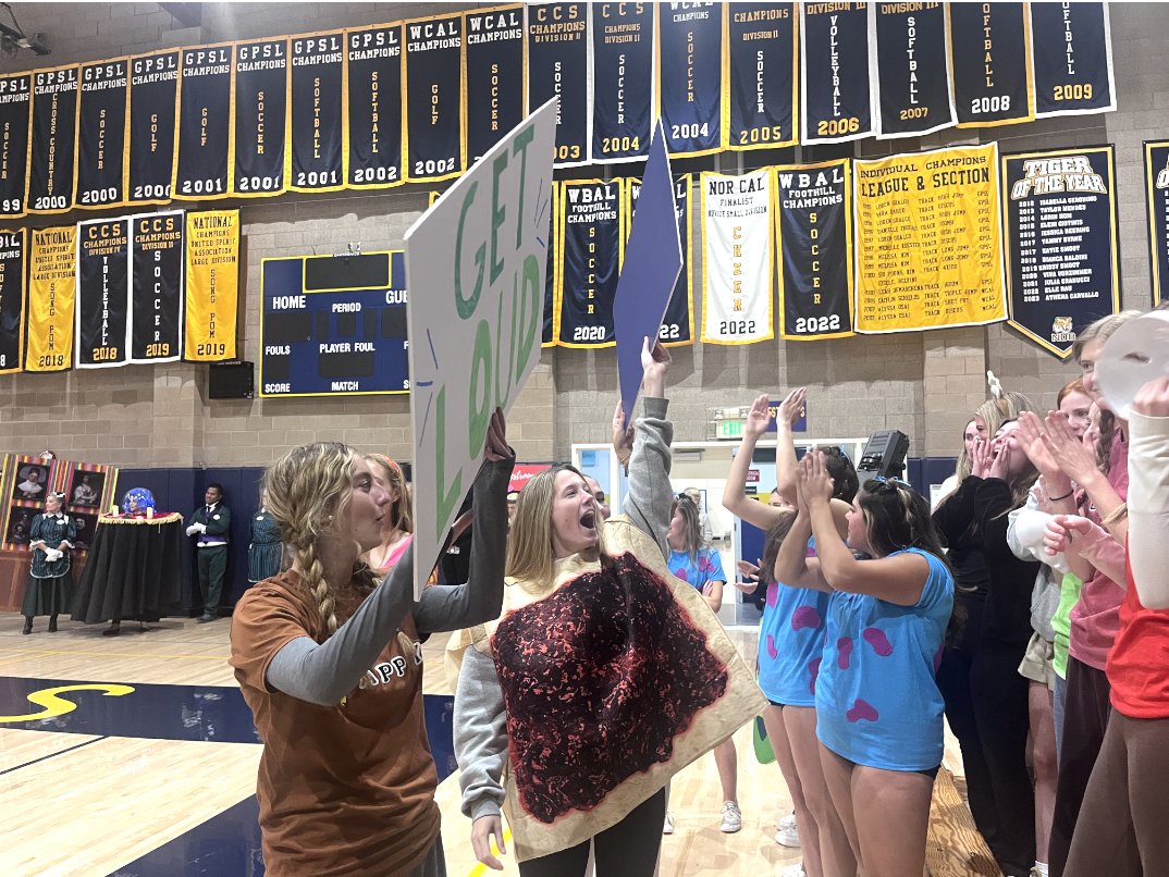 The senior student council members try to get the senior class to stand up and cheer for their classmates participating in the Digbat Rally.