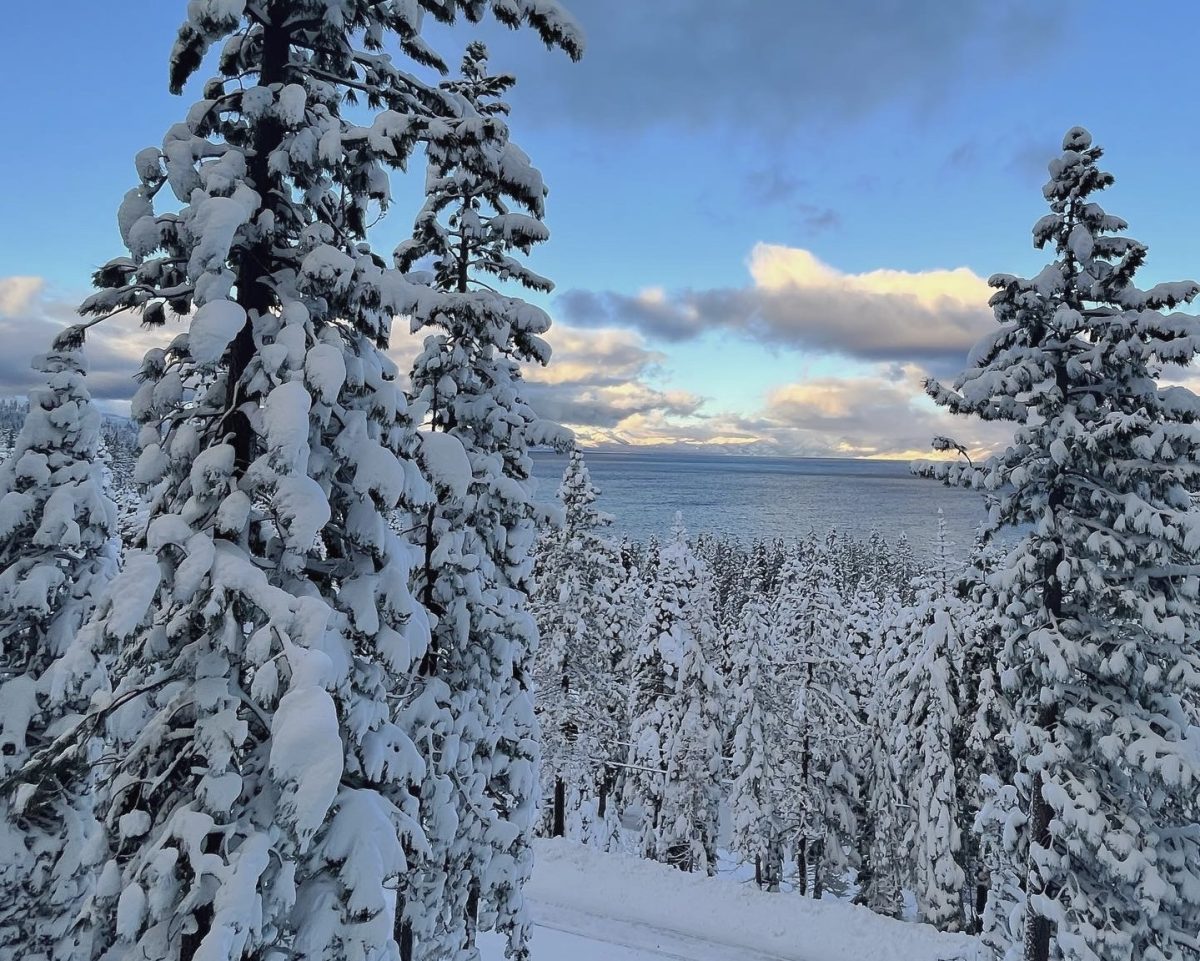 Lake Tahoe is a common place for families to go when they don’t want to deal with flying anywhere but still want a white Christmas.