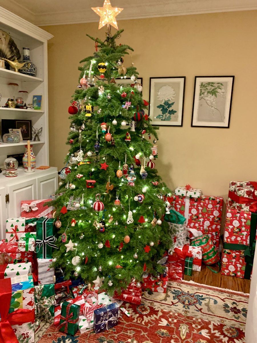 Christmas trees are one of the most distinguishable objects symbolizing the holiday season.