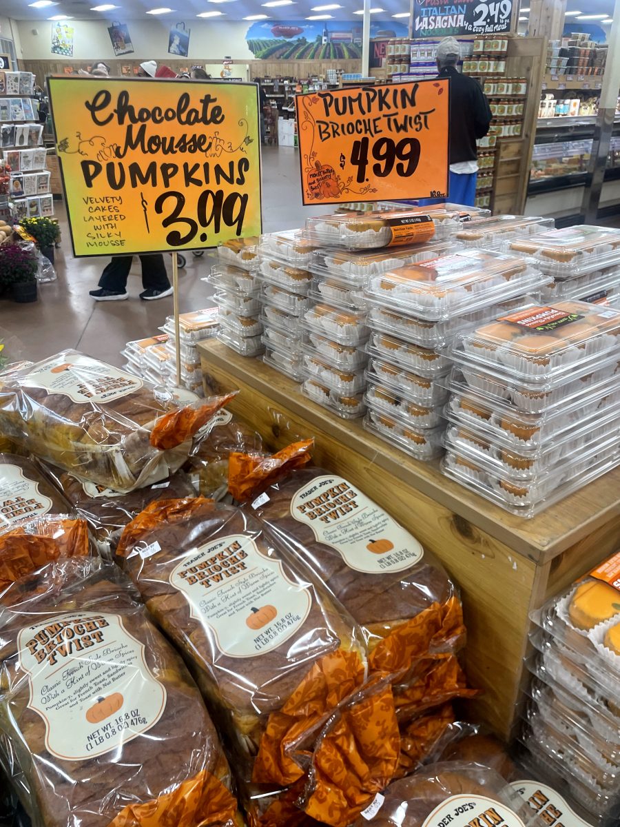 Trader Joes' fall display of beloved pumpkin items.