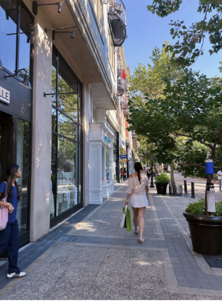 Many shopping places, such as downtown Santana Row, will have Black Friday deals.