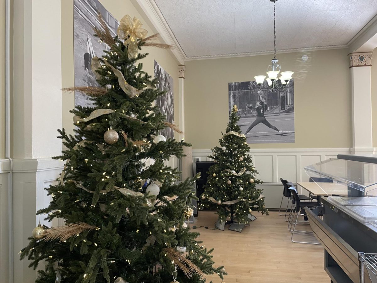 NDB decorated for Christmas by putting Christmas trees and wreaths throughout the school.