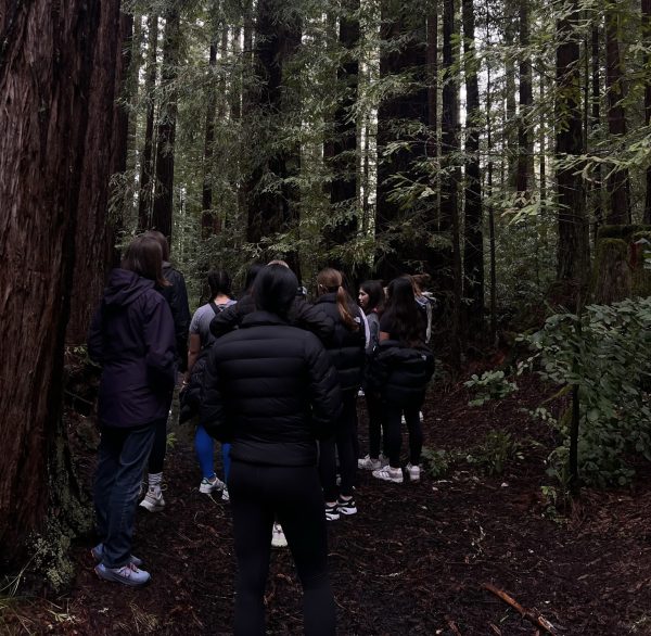 Kairos retreatants enjoy the nature of the Santa Cruz mountains.