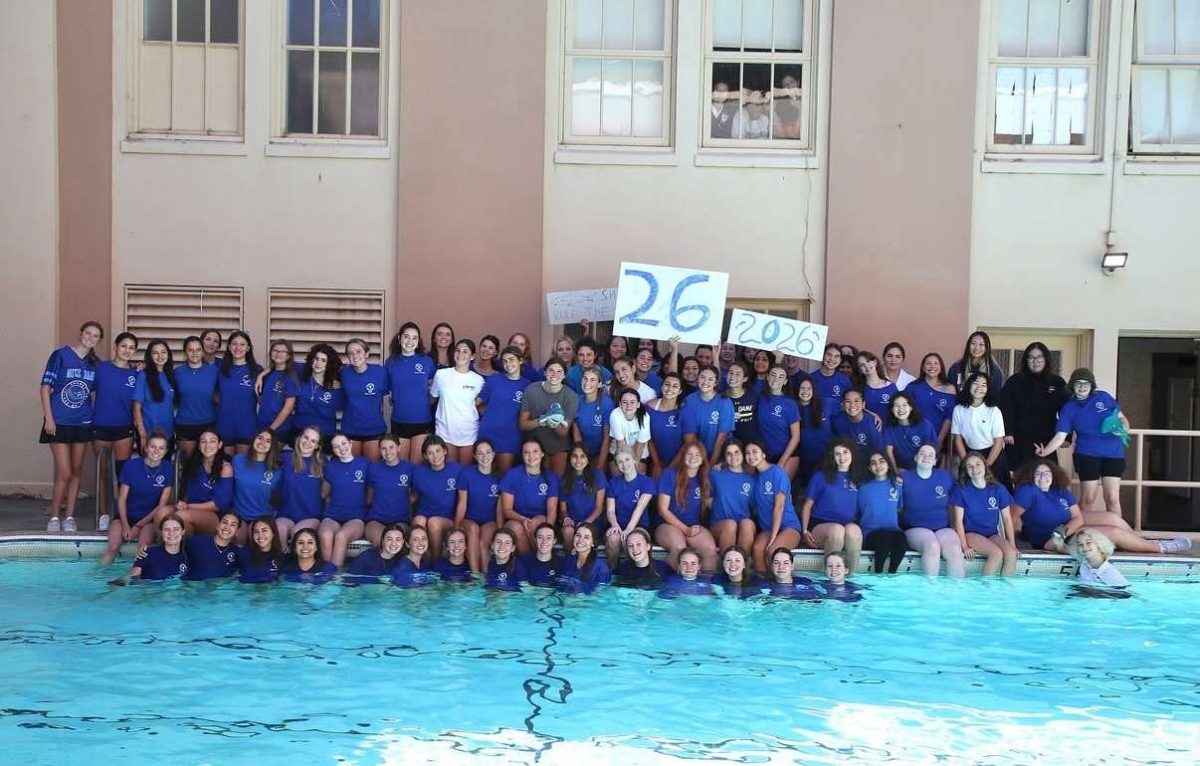 Senior sharks take on their Senior Splash.