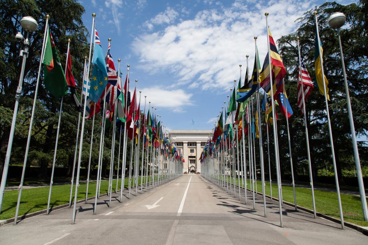 Flags of countries around the world outside of the United Nations building.