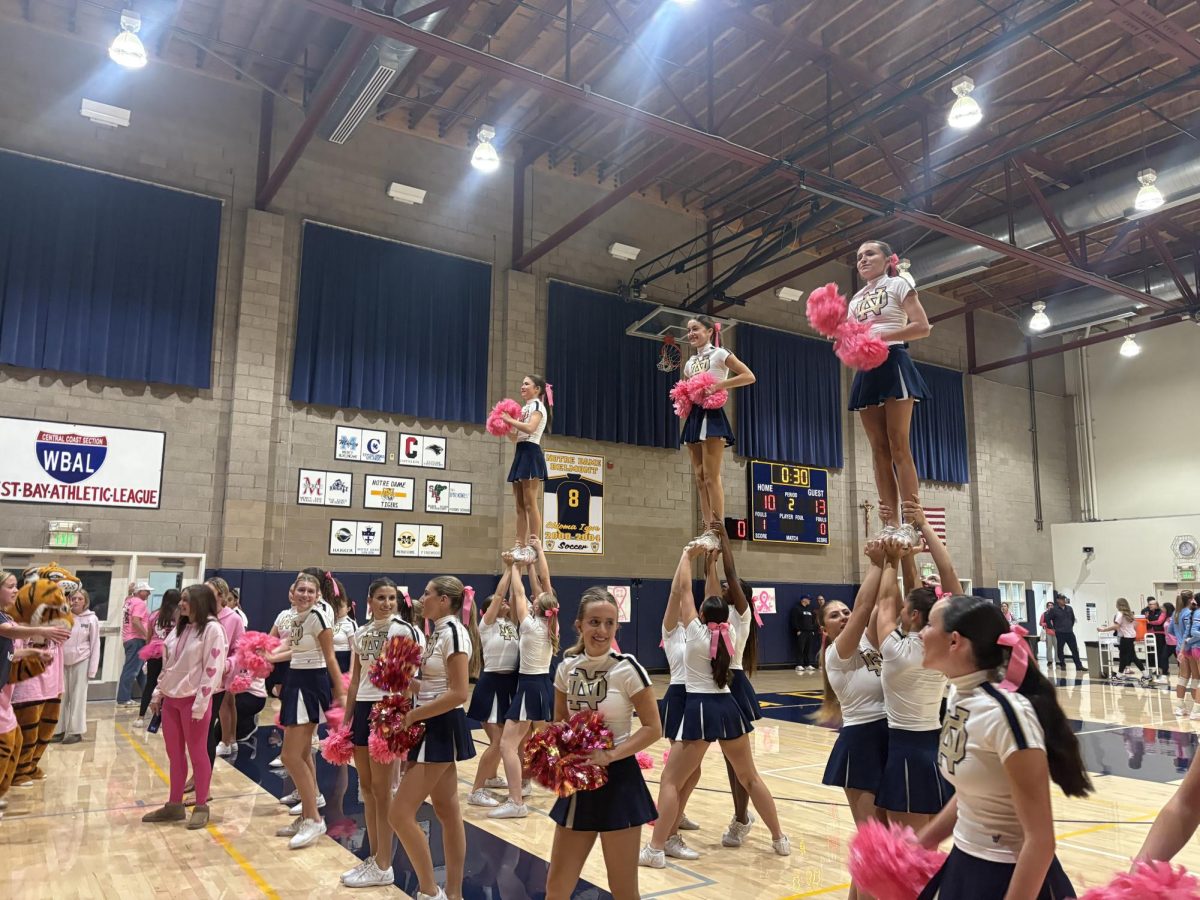 The squad showcase their school spirit with eye-catching stunts.
