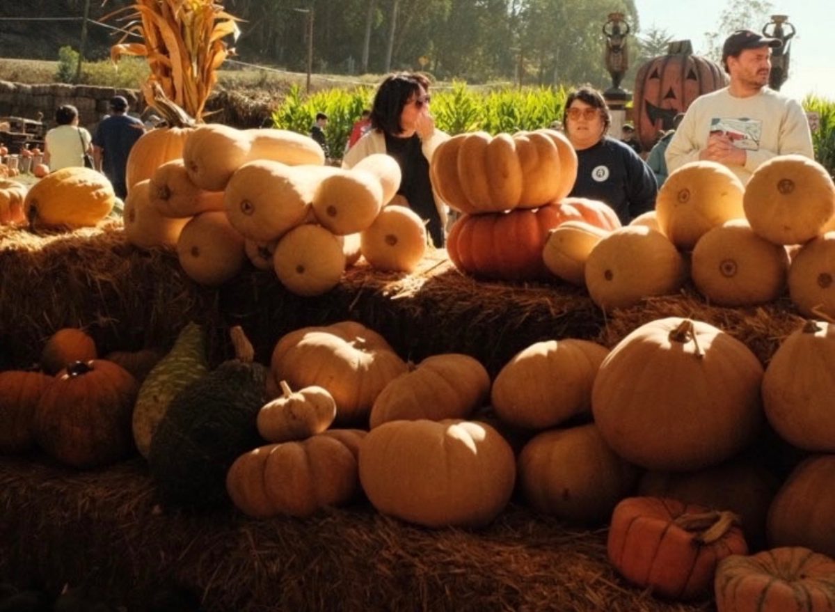 Arata’s Farm and Pumpkin Patch in Half Moon Bay is a popular place to go.
