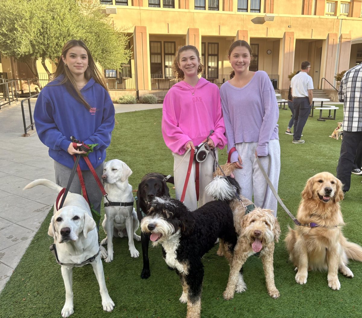 Canines dominated the Blessing of the Animals event.