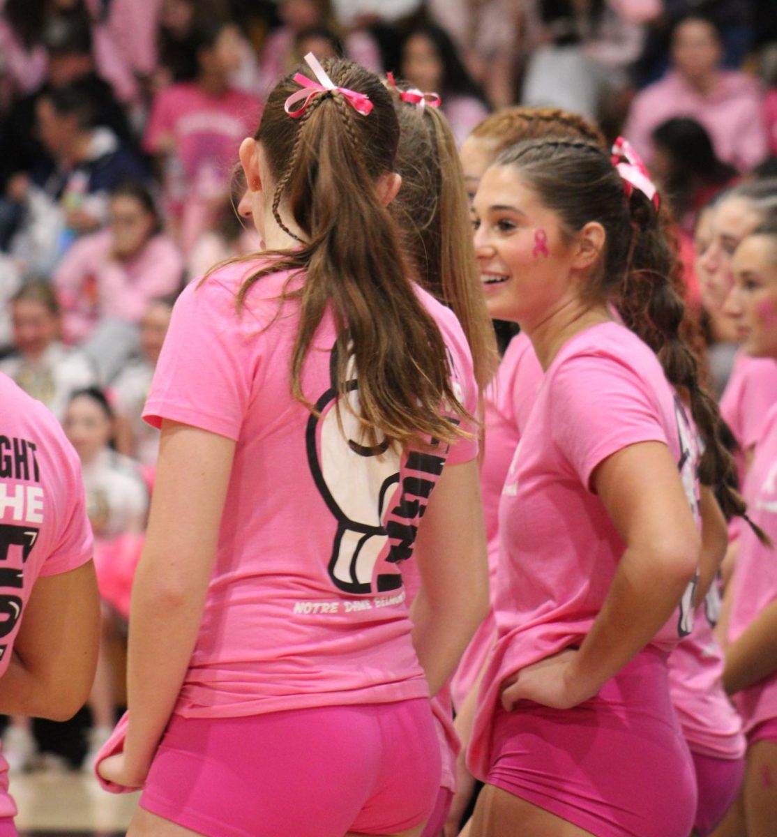 Varsity volleyball wearing the new Dig Pink shirts.