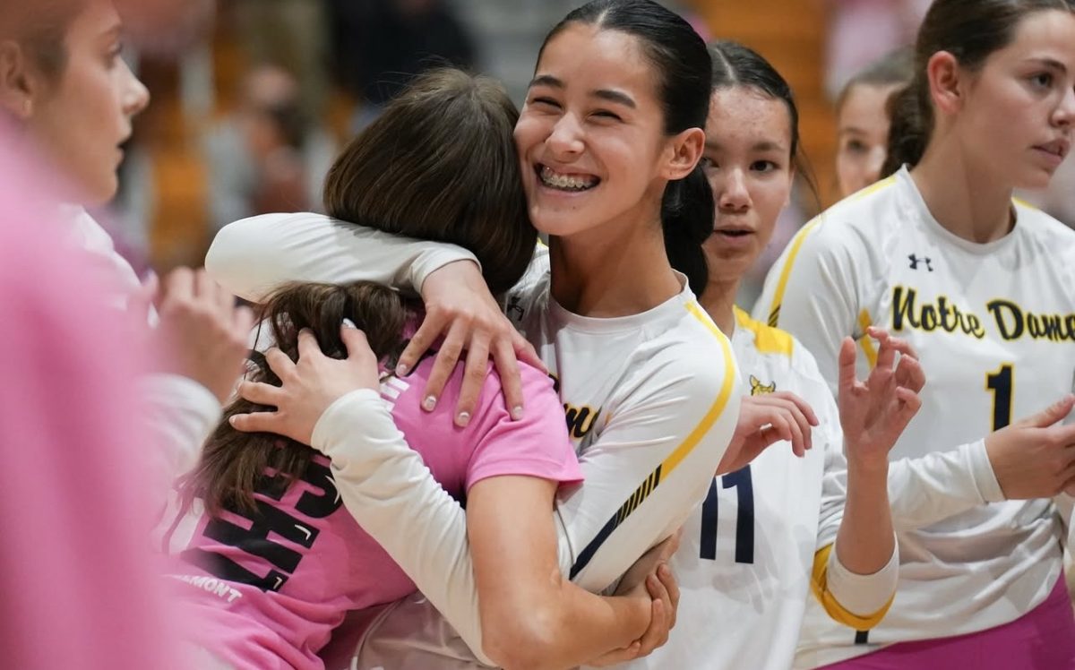 Tigers wearing pink for the annual Dig Pink Volleyball game.