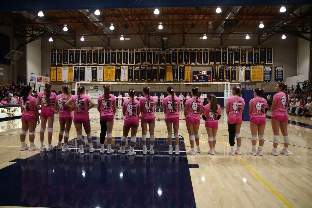 The NDB community stands united in pink for breast cancer awareness.