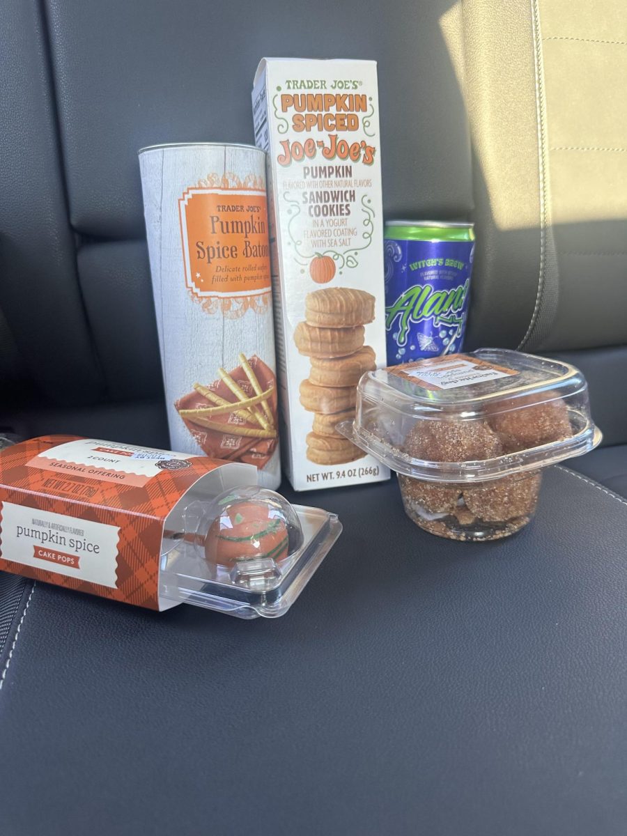 Trader Joe’s and Target are the perfect places to find the best fall snacks.