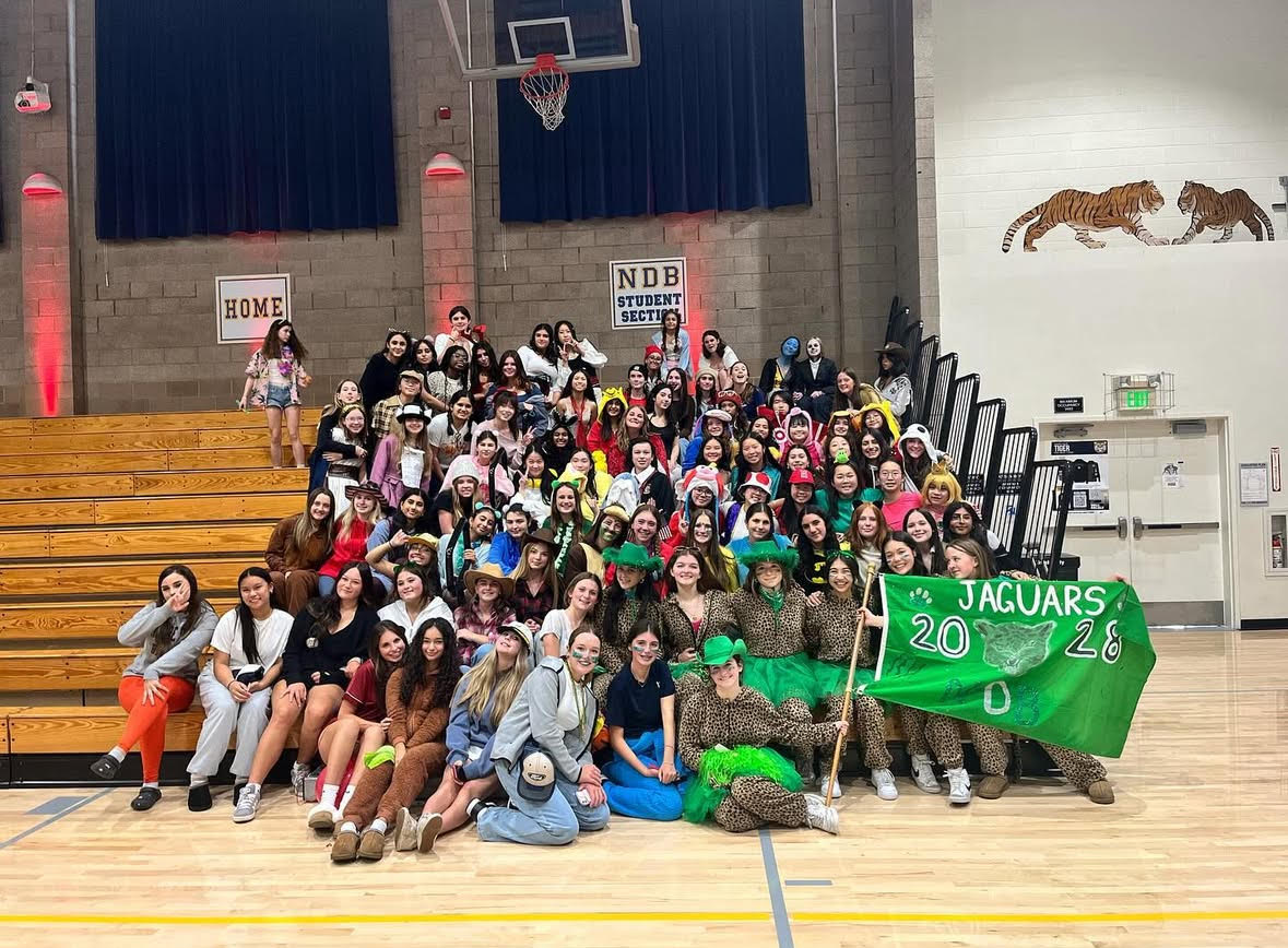 The sophomore jaguars are in their second year and NDB and it seems to be going great.