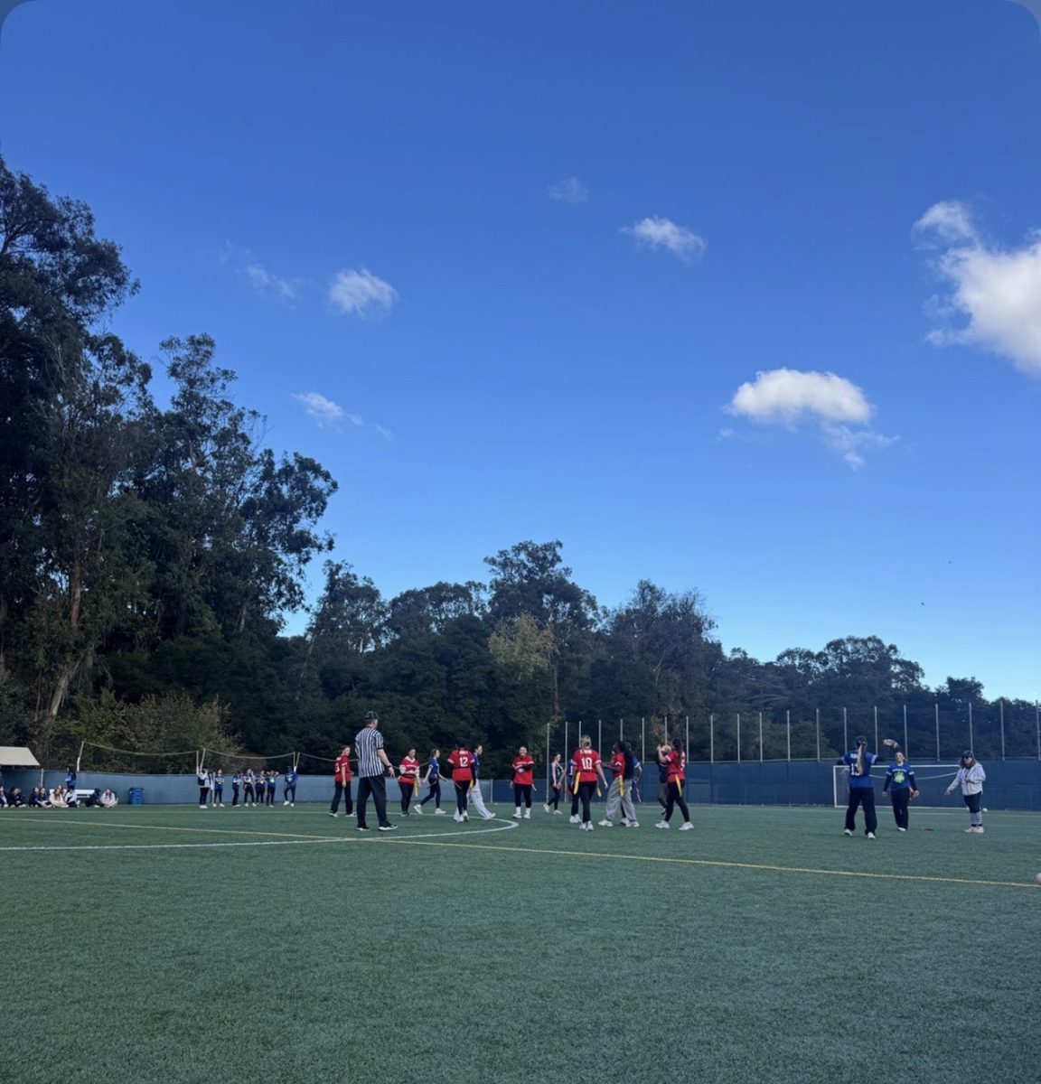 The Panthers and Vipers on the field, getting ready for the next play. 
