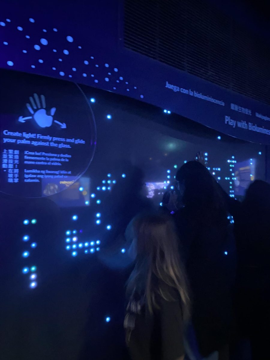 Cal Academy offers interactive exhibitions for all ages.