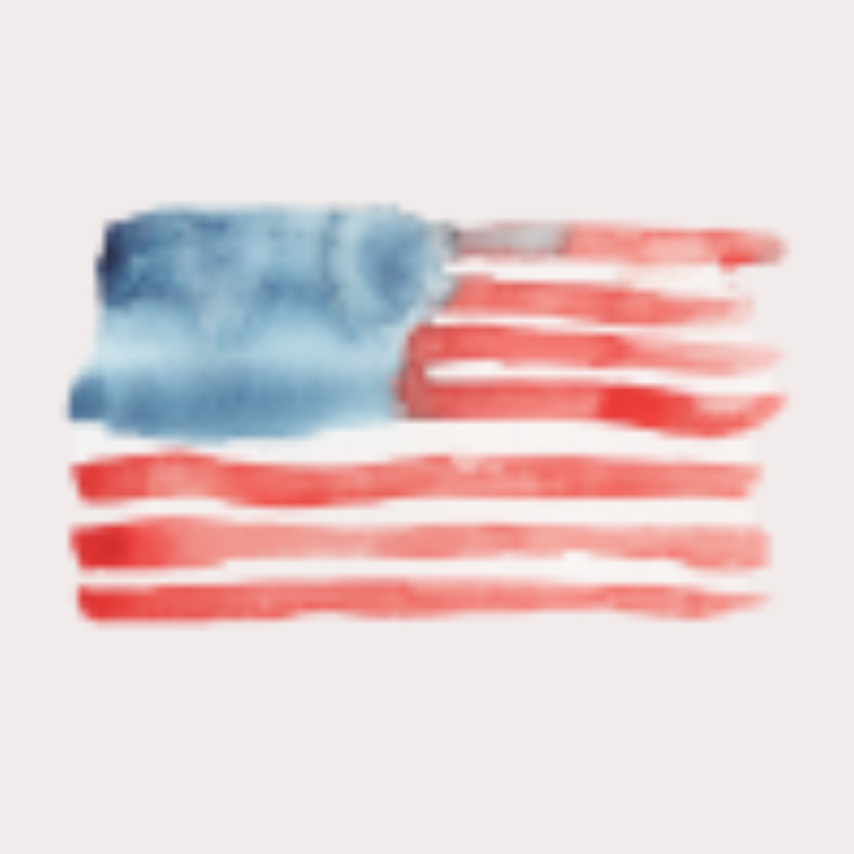 An American flag graphic symbolizing the questions facing the country during Trump’s first year of his second term.