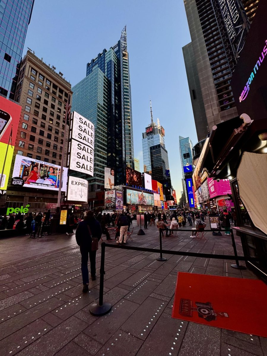 The life in New York City is one that many people dream of.