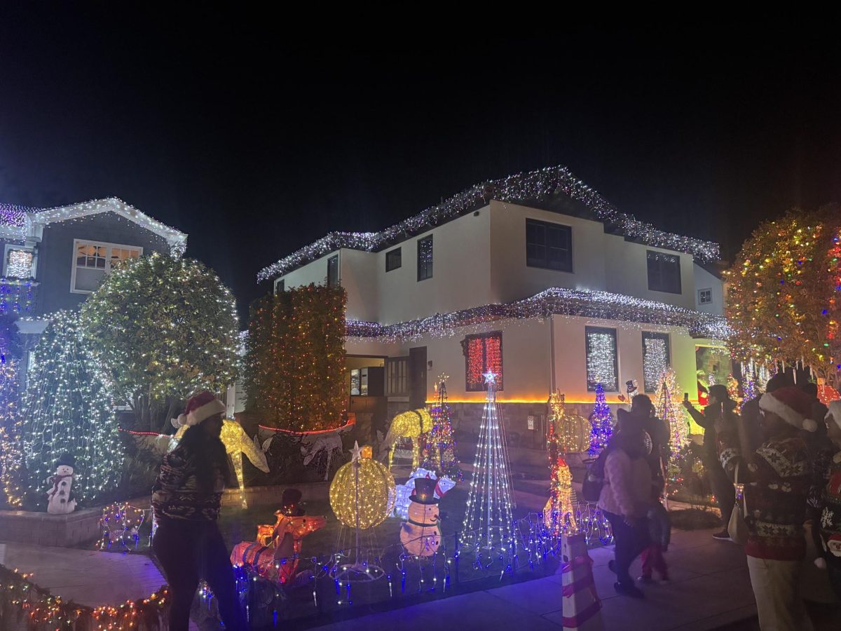 Eucalyptus Street shines bright during the winter months, attracting hundreds of visitors nightly. 