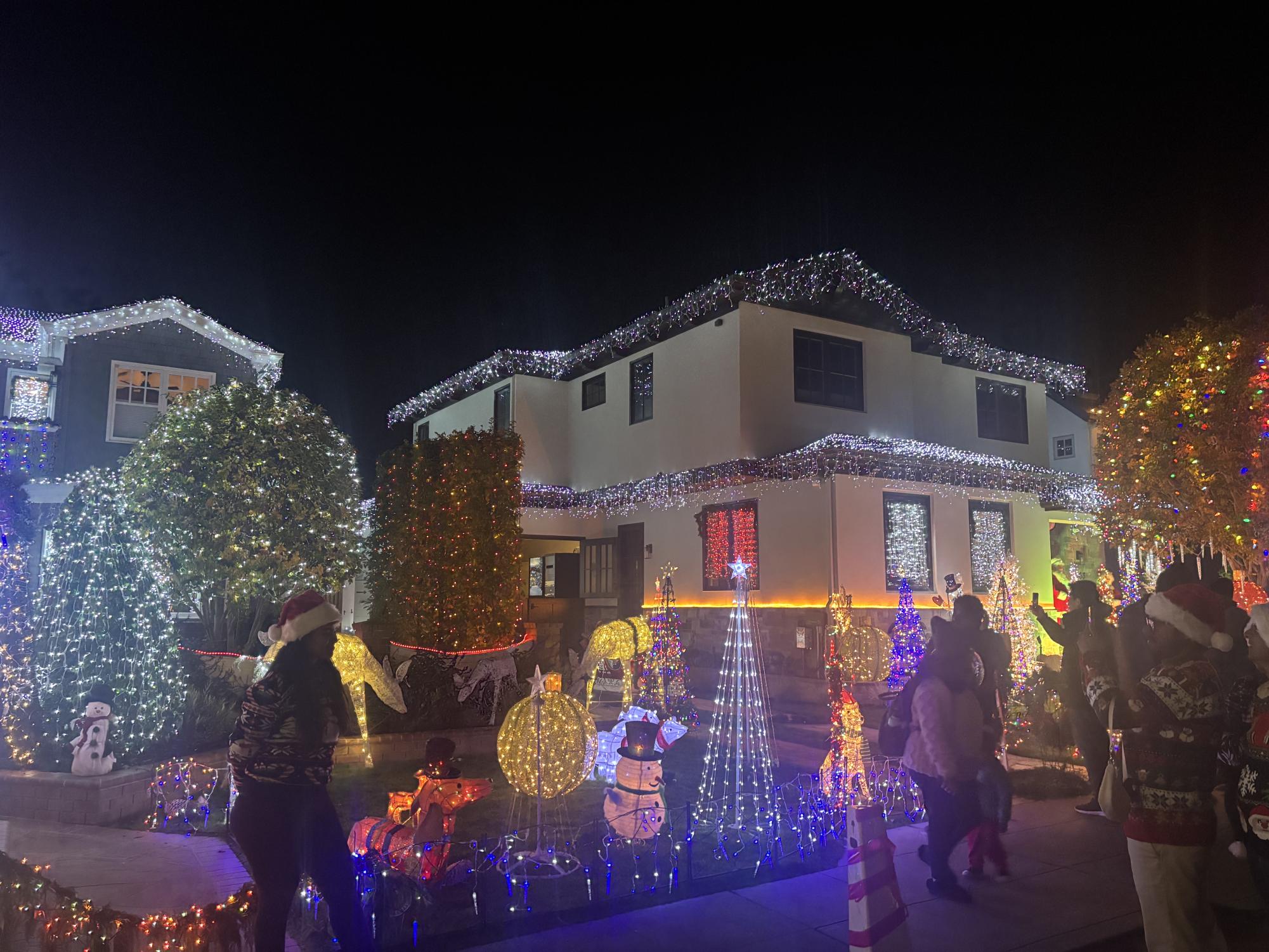 Eucalyptus Street shines bright during the winter months, attracting hundreds of visitors nightly. 