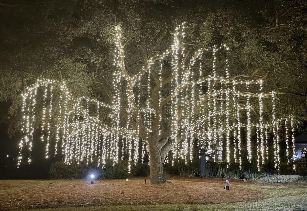 This display is one of the many magical sights that the Filoli Gardens offer during the holiday season.
