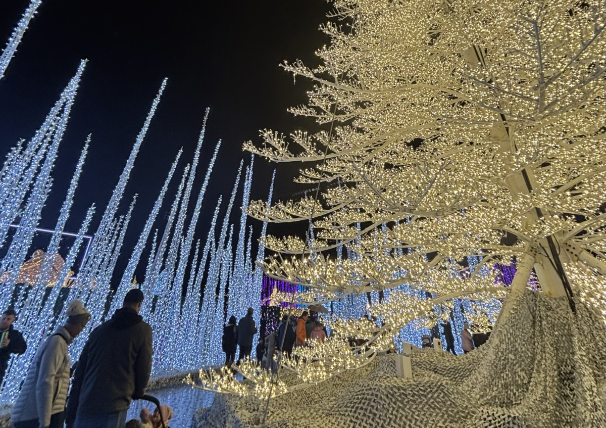 The festive Christmas lights in San Jose.