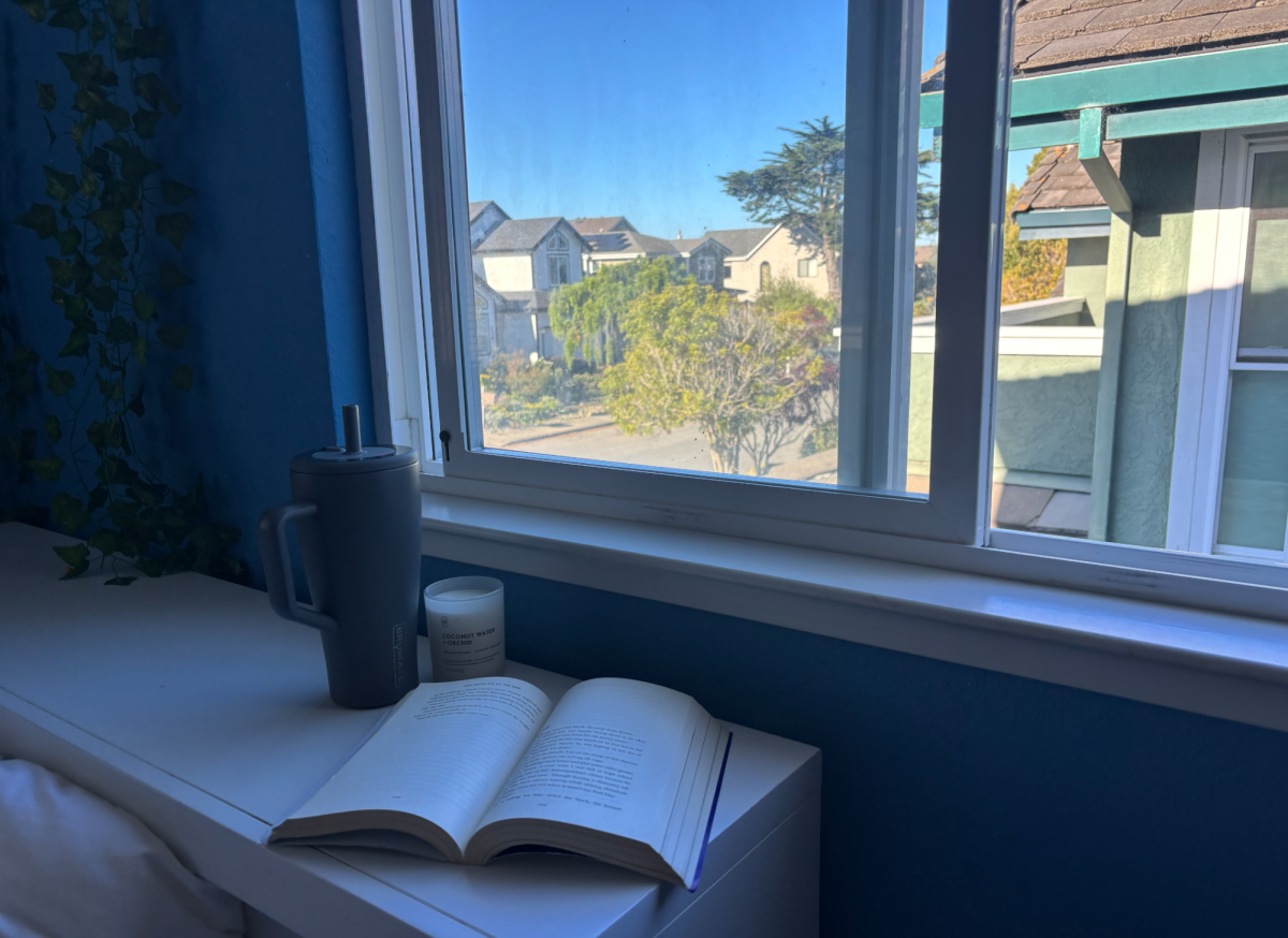 Student relaxing and reading a book by a window.