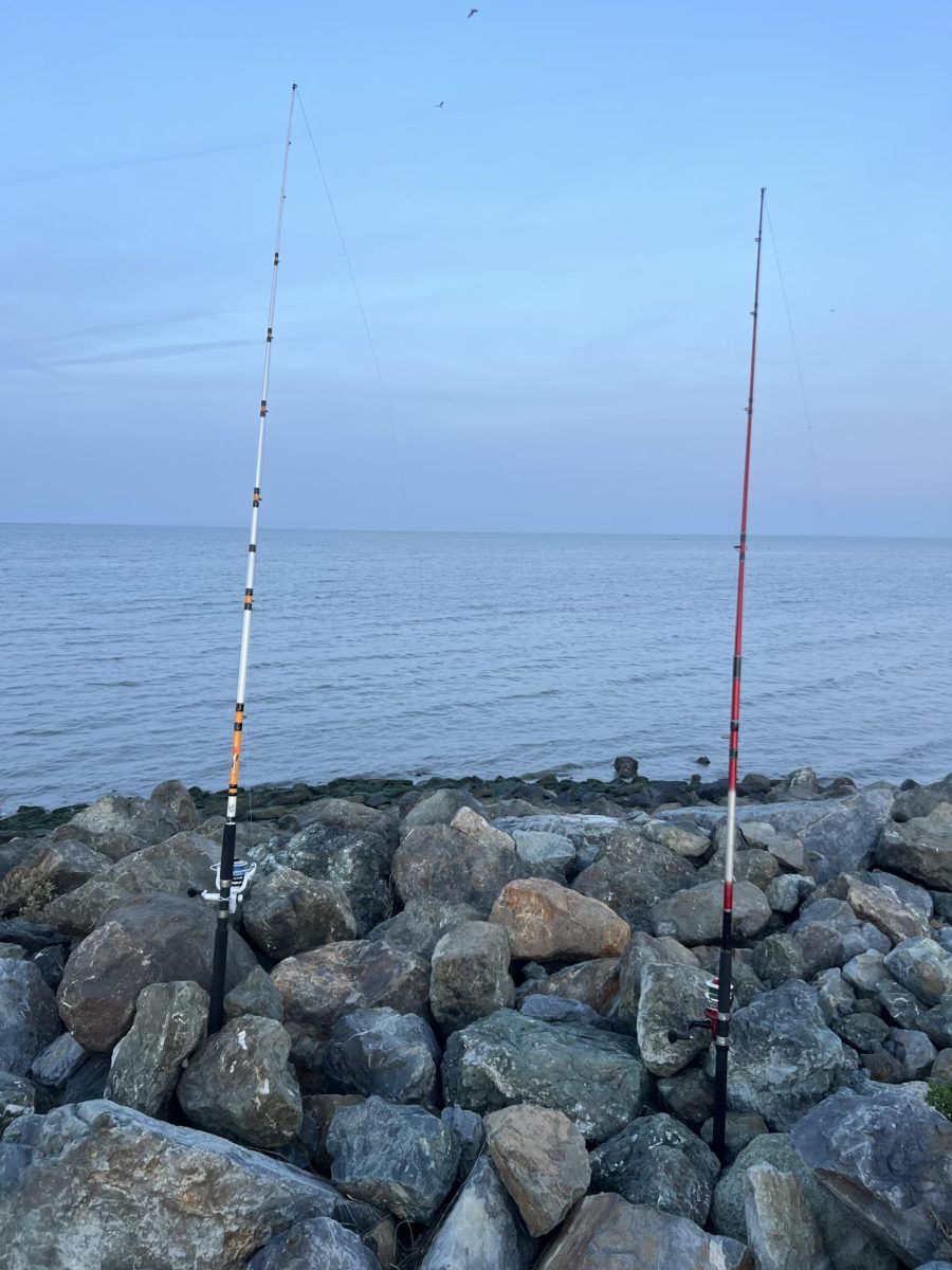 Fishing around the Bay Area can be a fun and unique activity to take on. 